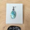 Abalone-05