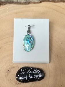 Abalone-05