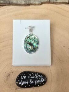 Abalone-26