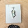 Abalone-28