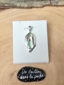 Abalone-28