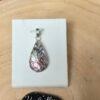 Abalone-29