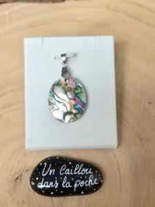 Abalone-30