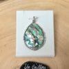 Abalone-31