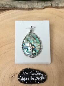 Abalone-31