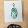 Abalone-32
