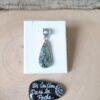 Abalone-34