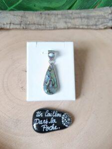 Abalone-34