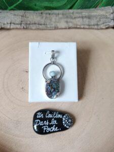 Abalone-35