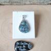 Abalone-36