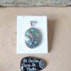 Abalone-39