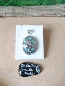 Abalone-39